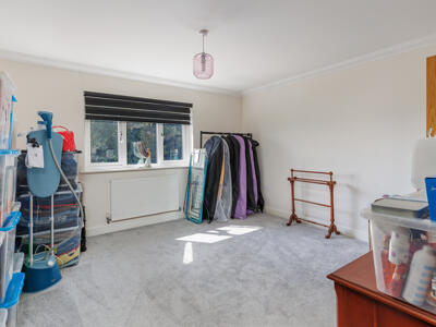 Picture 19